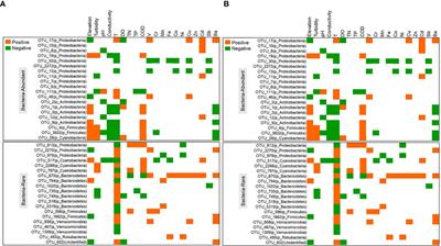 The assembly, biogeography and co-occurrence of abundant and rare microbial communities in a karst river